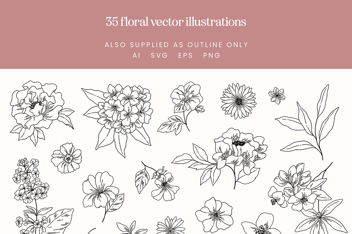 Blush Floral Vector Illustrations, a Decorative Illustration by Emma Webb Studio (Photo 6 of 12)