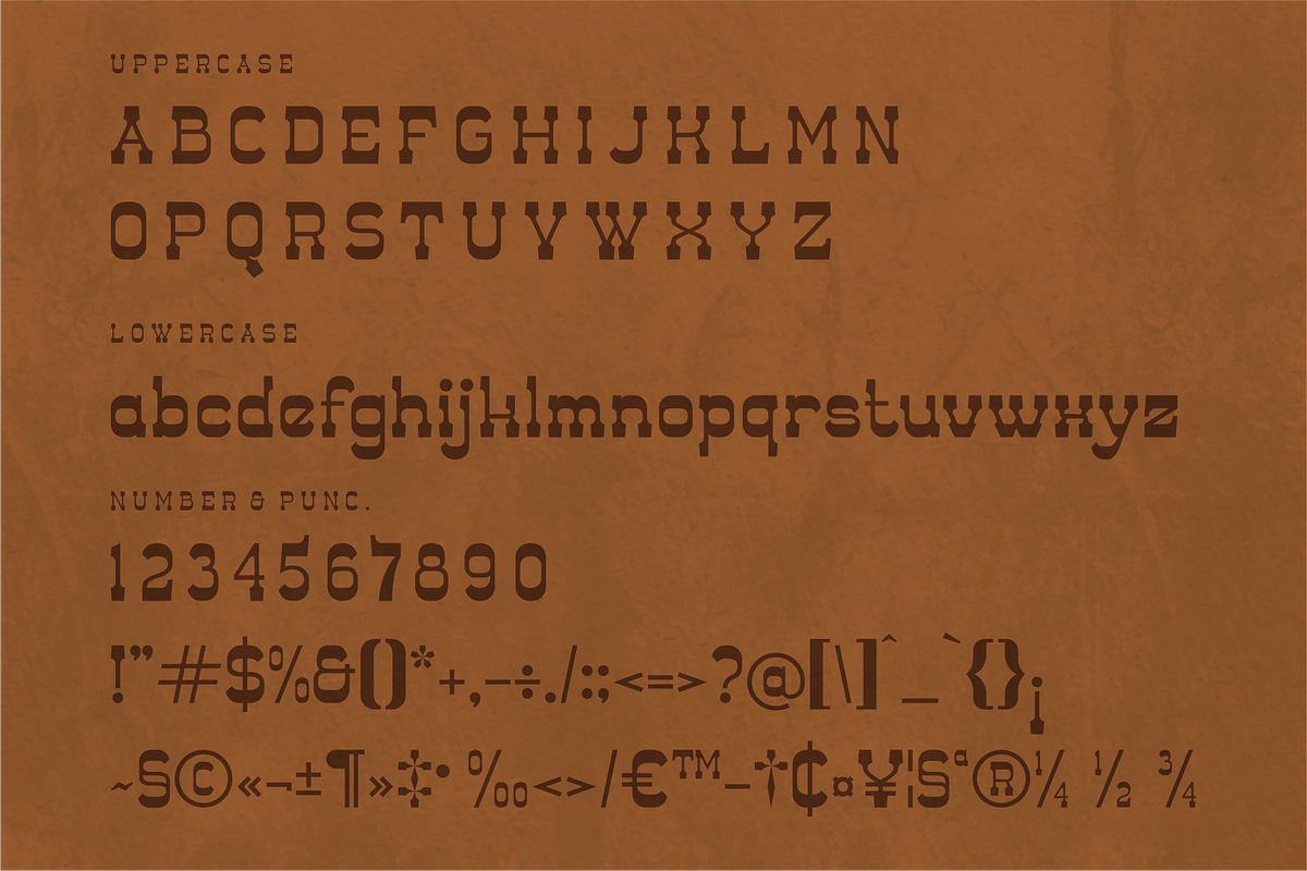Mayor Sheriv A Modern Serif Font, a Serif Font by Storytype Studio (Photo 13 of 15)
