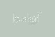 Palmetto - Cyrillic & Latin, a Font by Katie Holland (Thumbnail 6 of 7)