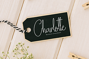 Embroidery Signature | Script Font, a Handwritten Font by Scratchones (Thumbnail 4 of 9)