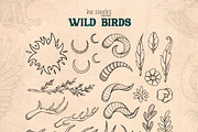 Wild Birds, an Animal Illustration by Ink Stories (Thumbnail 9 of 20)