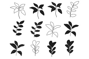 Leaf Set 2 Procreate Brush Stamps