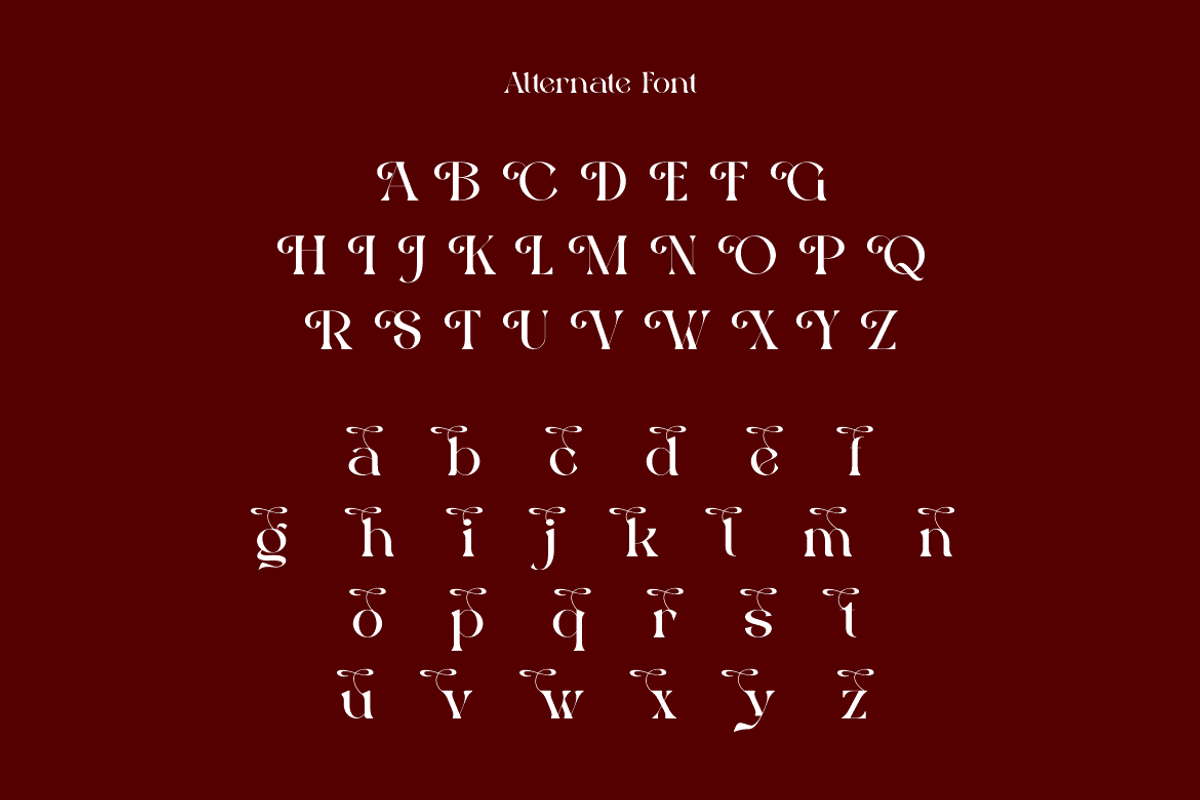 Etyelfy - Luxury Elegant Font, a Serif Font by QR Design Studio (Photo 8 of 14)