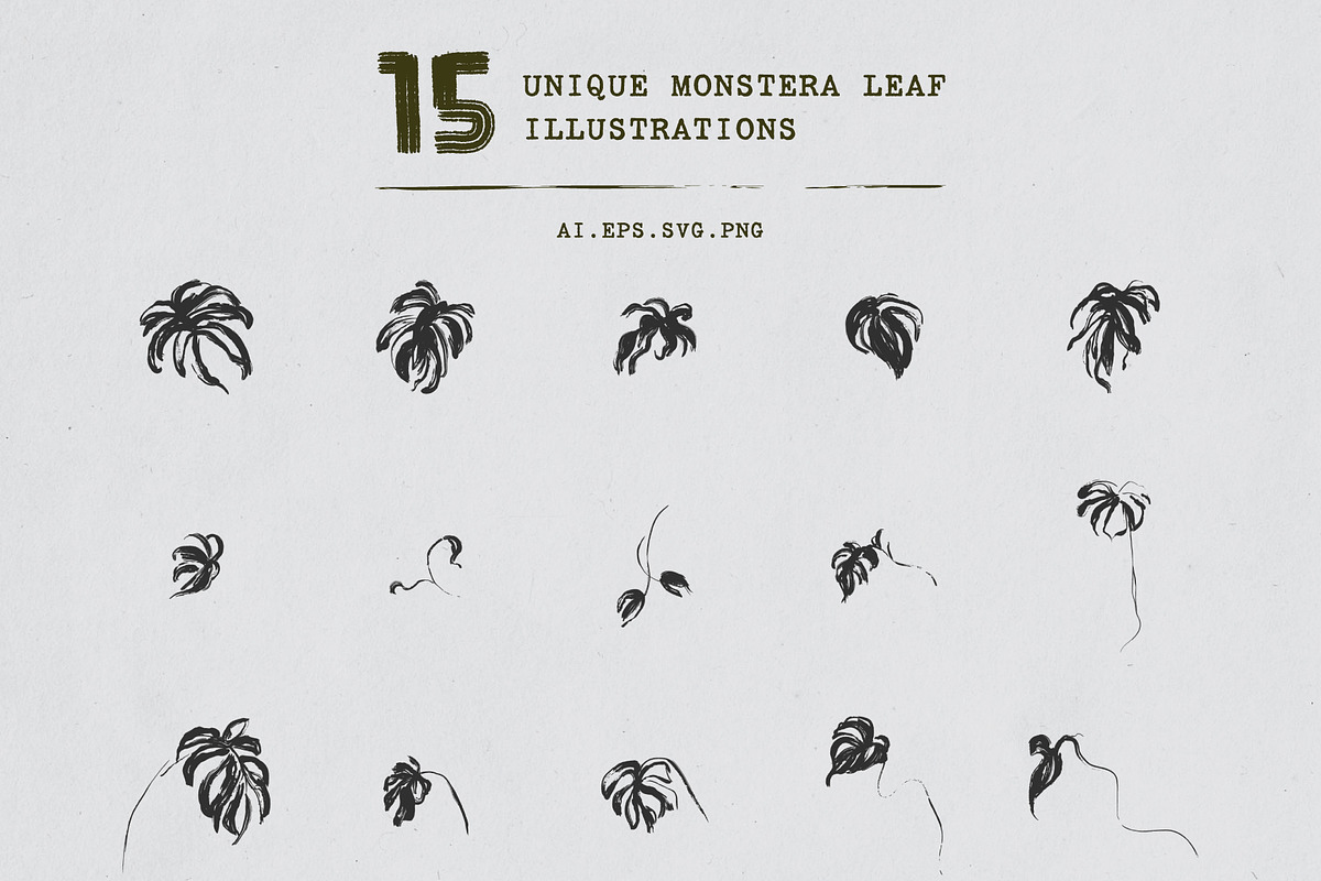 Monstera Ink Brush Botanical Vector, a Decorative Illustration by Momosama Studio (Photo 2 of 9)
