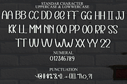 Secondo, a Serif Font by FreshTypeINK (Thumbnail 6 of 8)