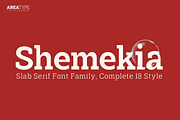 Shemekia, a Slab Serif Font by Areatype (Thumbnail 1 of 15)