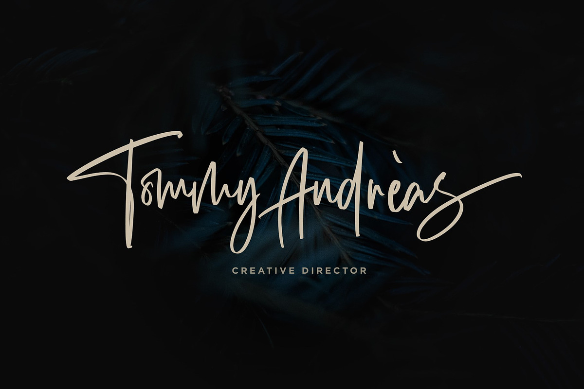 Exposedly - Classy Signature Font preview 3