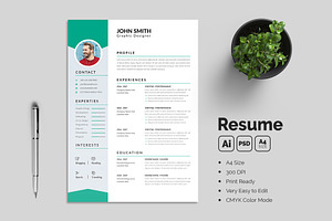 Modern Professional Resume Template, a Resume Template by Design Vault