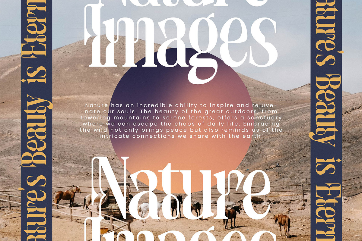 Twolight New Modern Serif Font, a Serif Font by timelesstype.co (Photo 4 of 20)