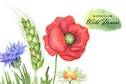 Watercolor Wildflowers clipart, an Illustration by OlDm_Shop (Thumbnail 3 of 7)