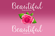 Sanies Script, a Script Font by khurasan (Thumbnail 5 of 7)