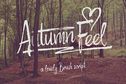 Autumn Feel font, a Script Font by Gleb Guralnyk (Thumbnail 1 of 5)