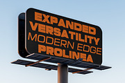 Prolinea Family | Intro 75% OFF, a Sans Serif Font by Lettertype Studio (Thumbnail 6 of 15)