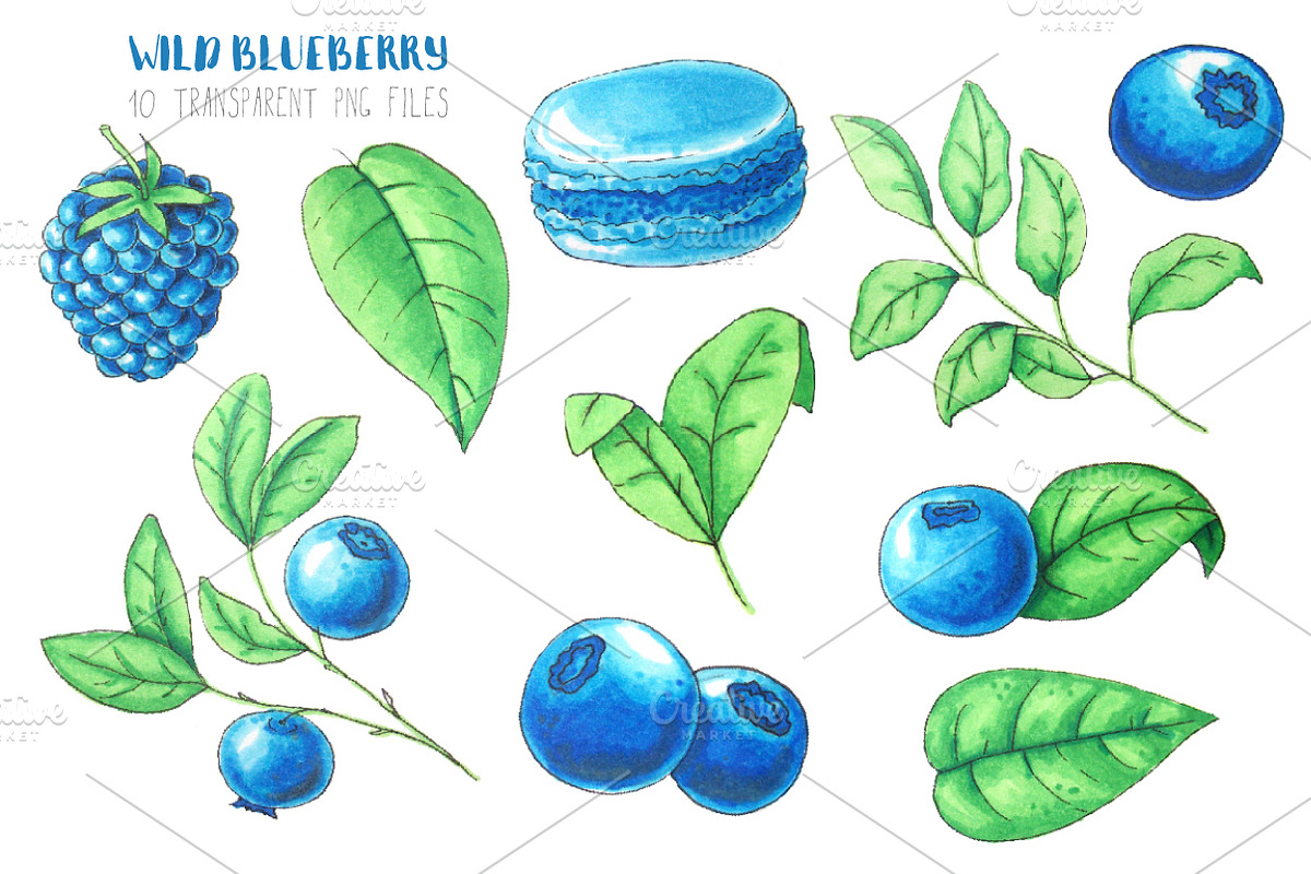 Wild Blueberry Font Duo preview 3
