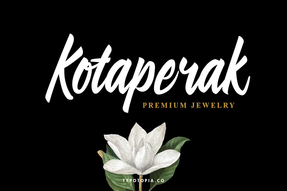 Preteoria Script, a Script Font by edukka (Photo 3 of 10)