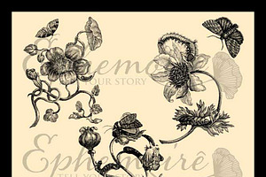 Vintage Botanical Photoshop Brushes