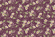 Set Seamless Flowers Chamomile daisy, a Pattern Graphic by Vintage (Thumbnail 8 of 17)