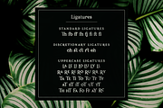 Porchlight classic serif font, a Serif Font by Ana's Fonts (Thumbnail 6 of 8)