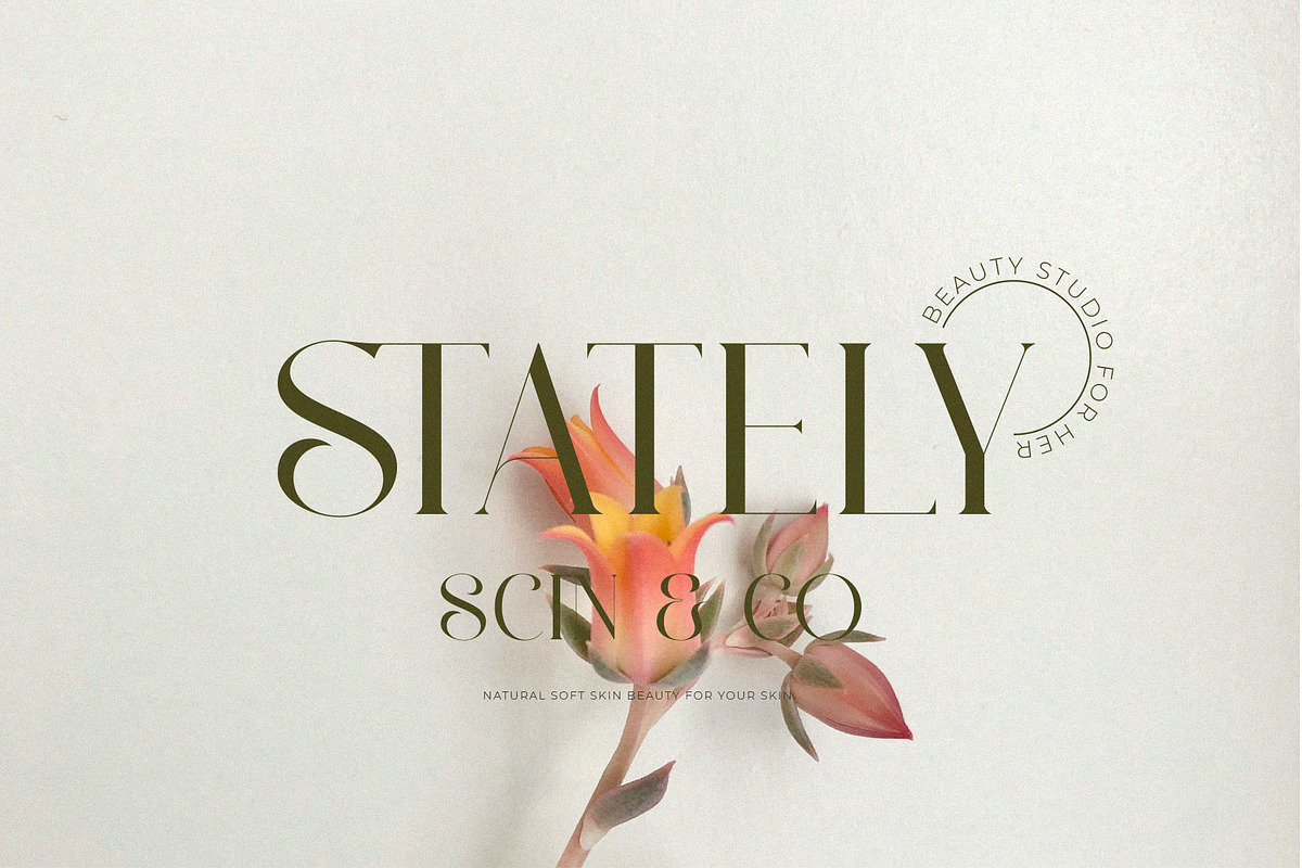 Ravlys - Classy serif, a Serif Font by ToniStudio (Photo 3 of 11)