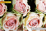 Comic LineArt Actions, an Action Add-On by WhiteSpace Design Studio (Thumbnail 3 of 5)