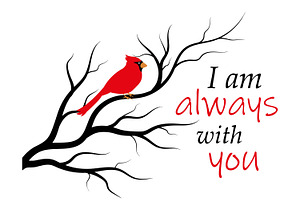 Red cardinal bird on a tree branch., an Illustration by Tanysl