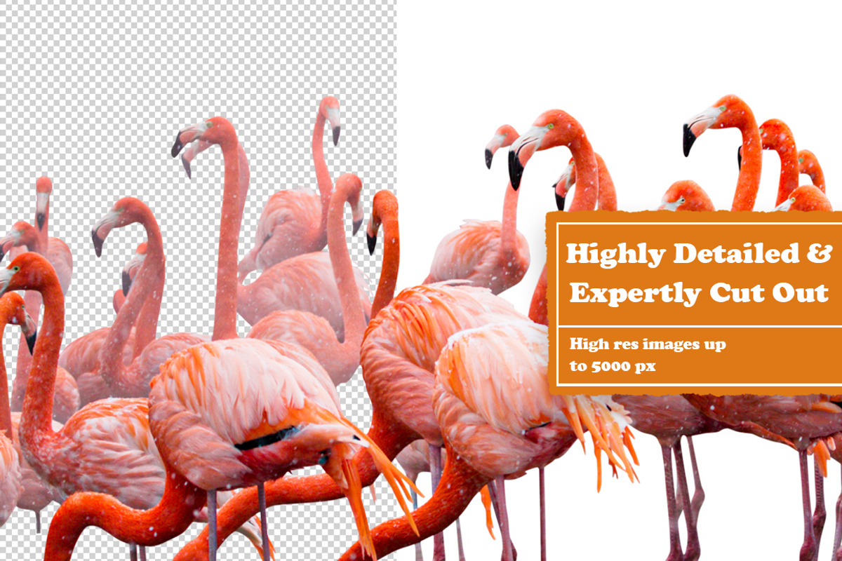 Animals Digital Collage Pack, an Object Graphic by Collage Supply Co (Photo 2 of 3)
