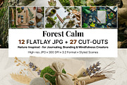 Forest Calm  Flatlays, Botanical PNG, an Object Graphic by Pachel (Thumbnail 1 of 6)