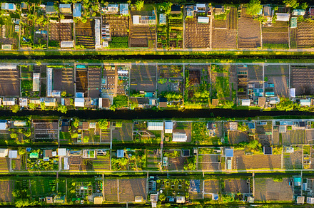 Aerial view of vegetable gardens., an Industrial Photo by Landscape and travel
