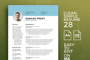 Resume Template 28