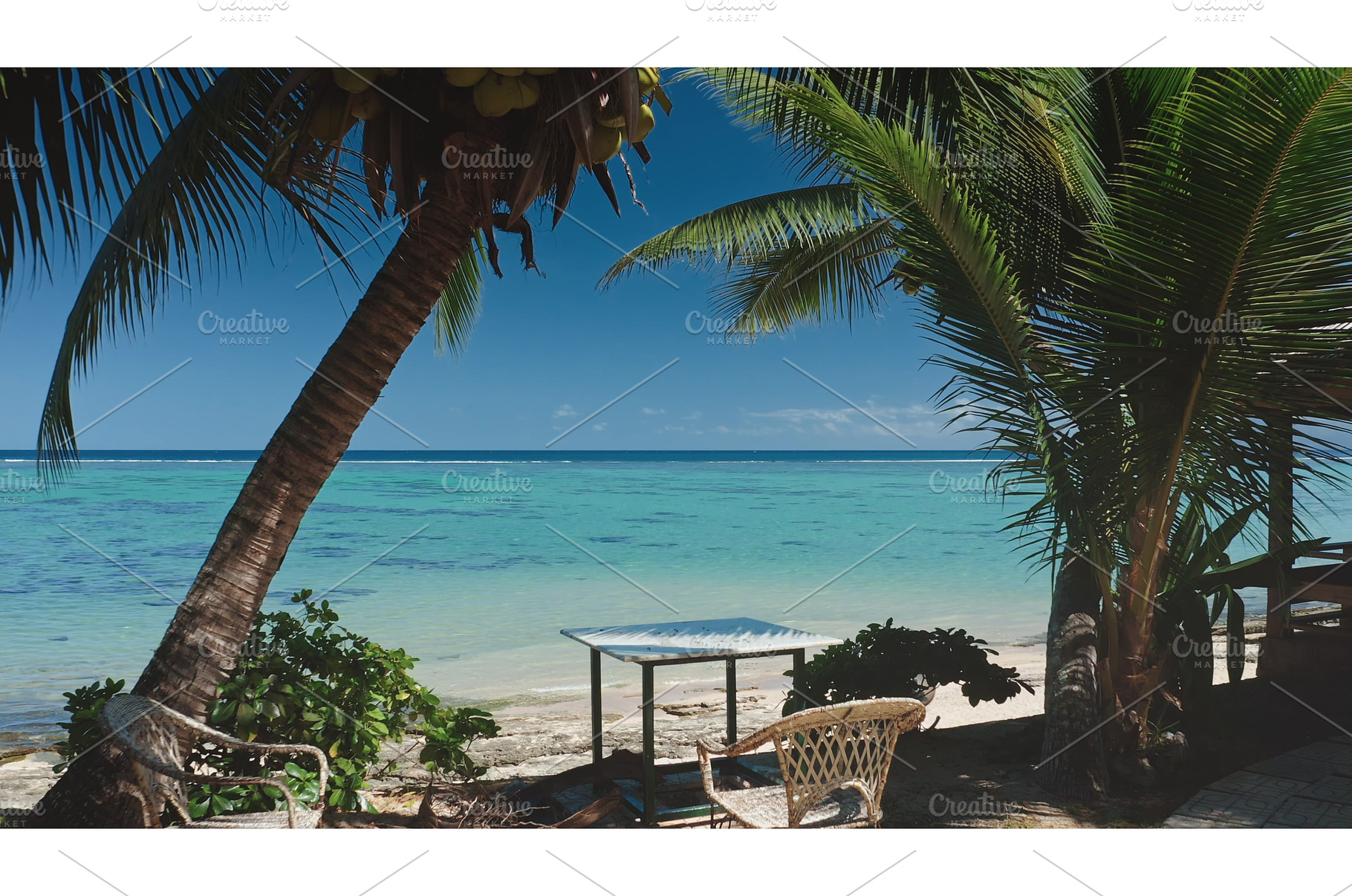 Relaxing tropical beach with palm, a Nature Photo by Goinyk