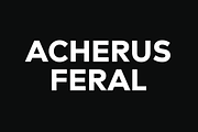 Acherus Feral 30% Off, a Sans Serif Font by Horizon Type Foundry (Thumbnail 1 of 17)