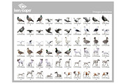 120 Pet/Farm Animals Photo Overlays, an Animal Photo by KenScape (Thumbnail 3 of 4)