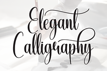 Elegant Calligraphy | Script Font