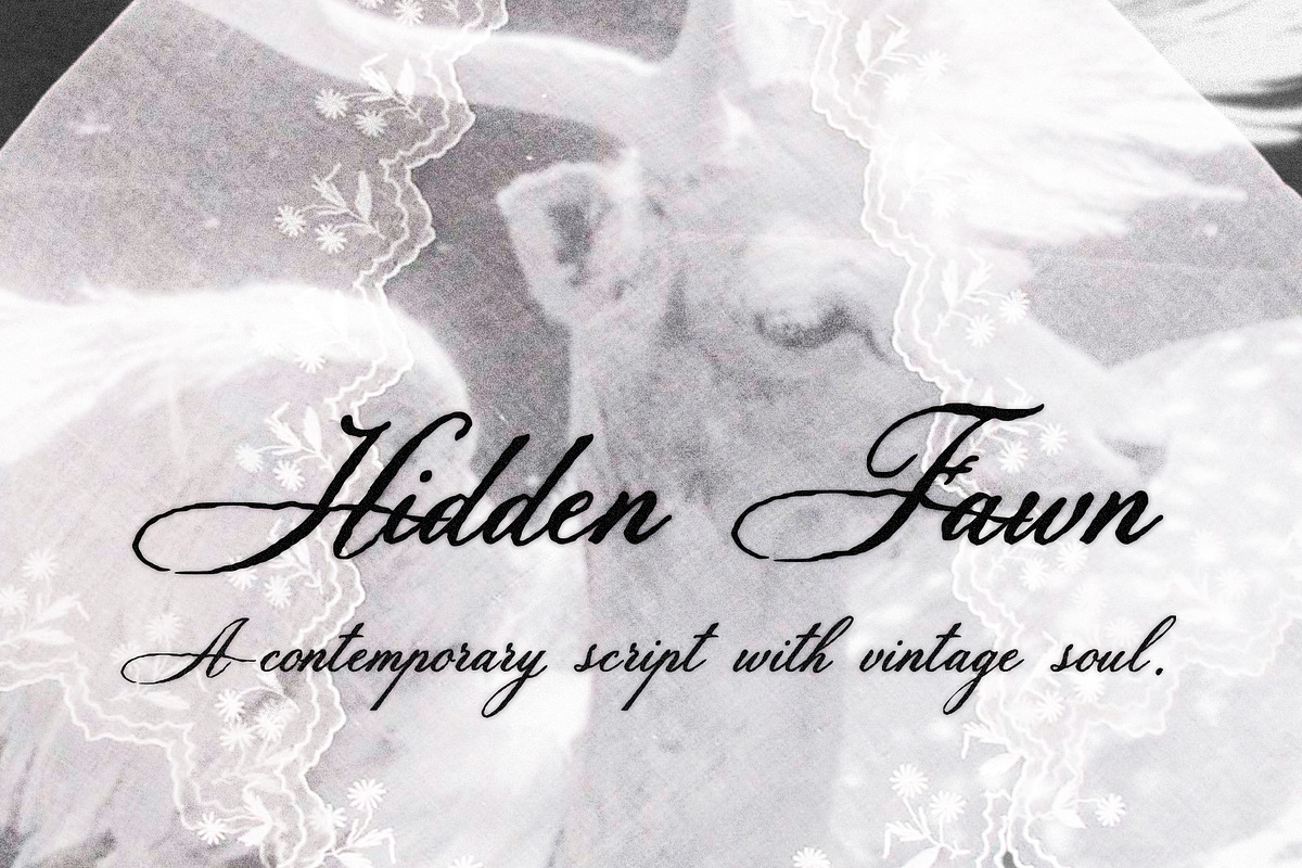 Hidden Fawn: Calligraphy Script Font, a Script Font by Mneme (Photo 5 of 9)