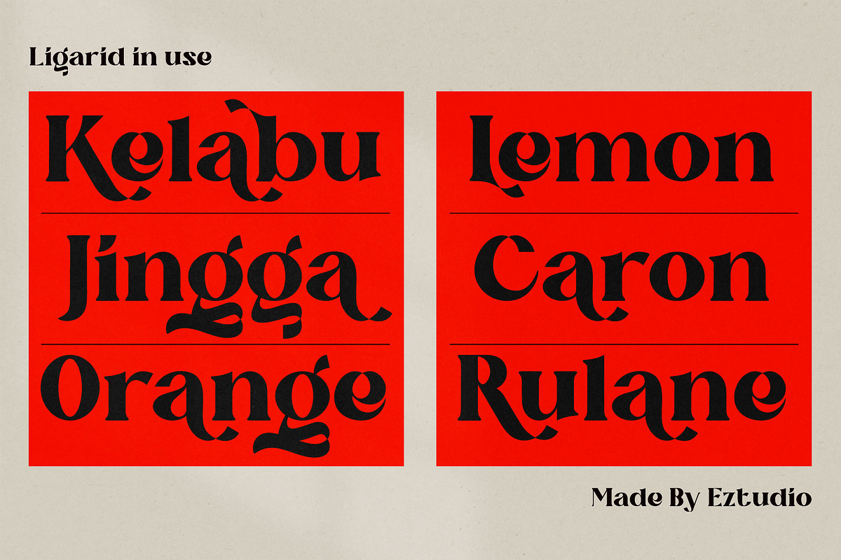 Ligerid - Chic Serif Font, a Serif Font by Eztudio (Photo 6 of 14)