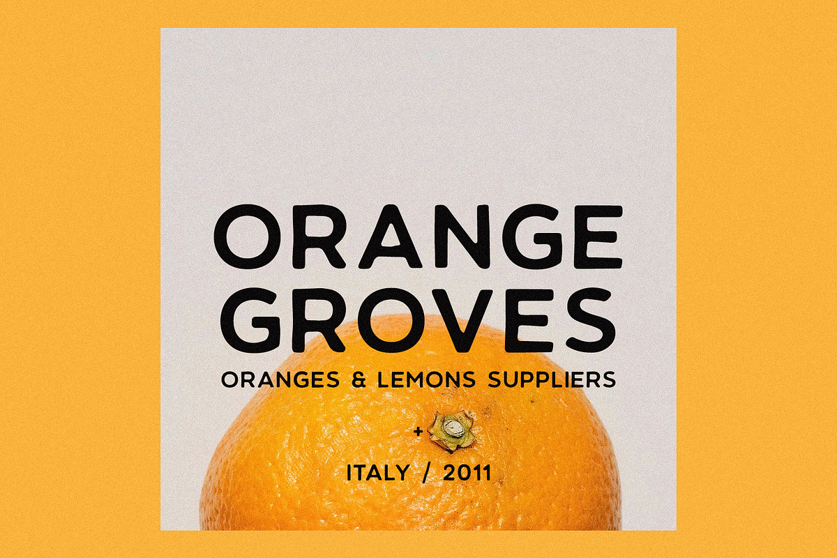 CITRUS GARDEN - vintage sans serif, a Sans Serif Font by Misha Sova (Photo 3 of 11)