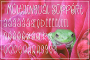 The Shady Frog - A Multilingual Font, a Sans Serif Font by Endless Time Graphics (Thumbnail 3 of 3)