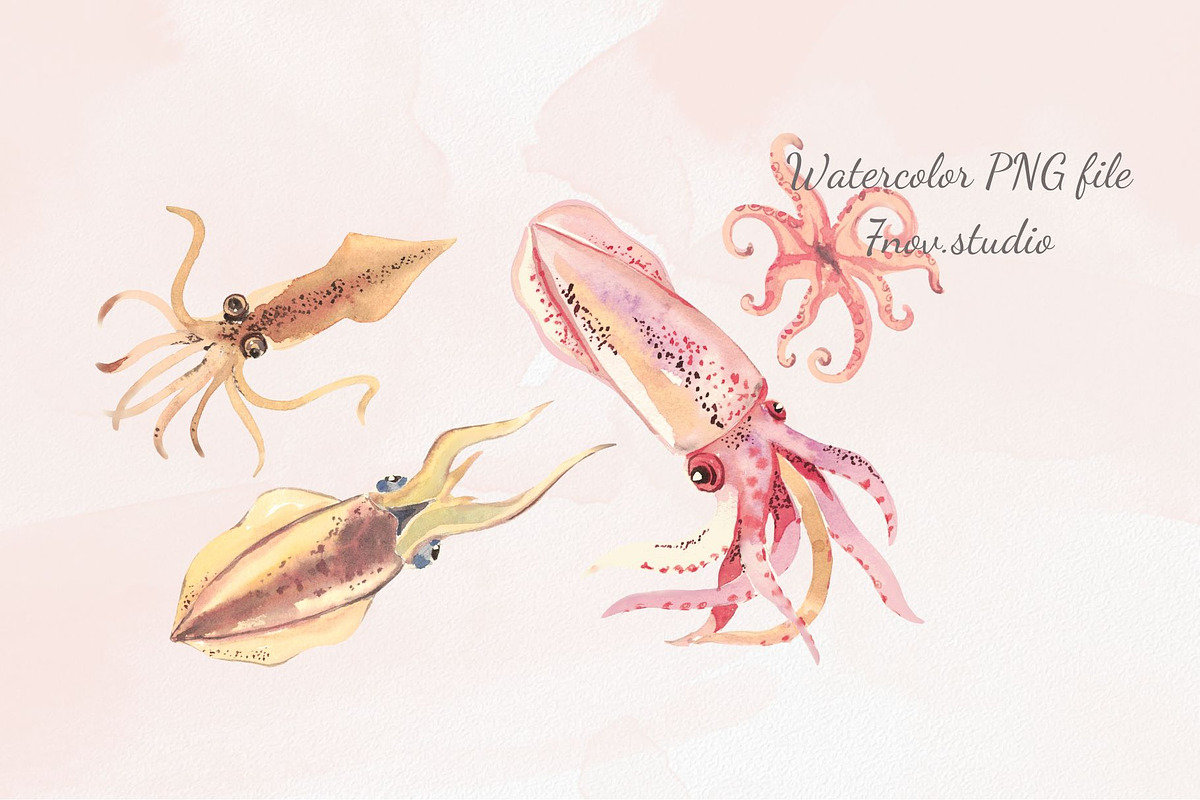 Sea Food watercolor, an Illustration by 7nov.studio (Photo 4 of 7)