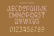 Awsirnam - Aesthetic Serif Font, a Serif Font by Enxyclo Studio (Thumbnail 24 of 29)