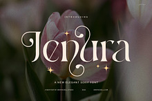 Jenura Stylish Serif Font
