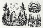 Forest Hedgehog Illustrations, an Animal Illustration by DENIDigitalArtSudio (Thumbnail 7 of 8)