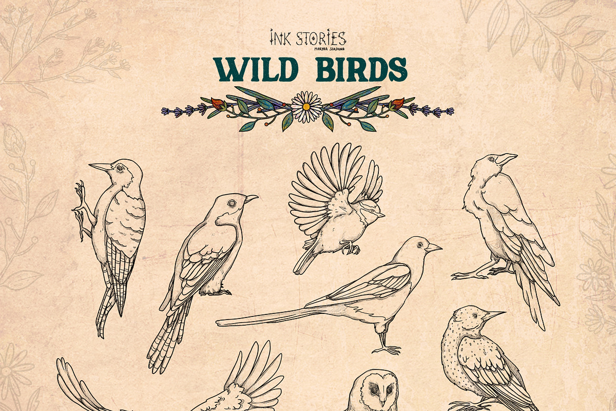 Wild Birds, an Animal Illustration by Ink Stories (Photo 5 of 20)