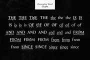 Eitel, a Serif Font by Rosario Nocera (Thumbnail 10 of 11)