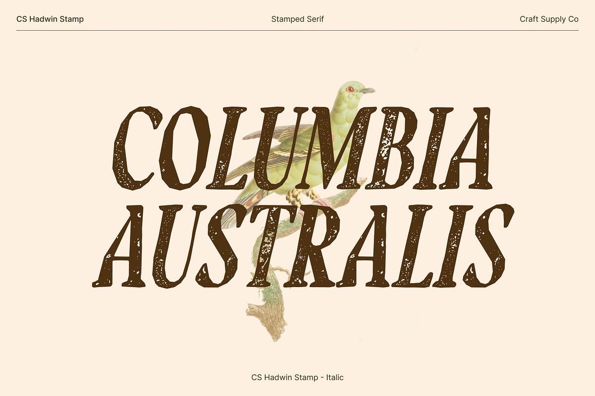 CS Hadwin Stamp, a Serif Font by Craft Supply Co. (Photo 5 of 8)