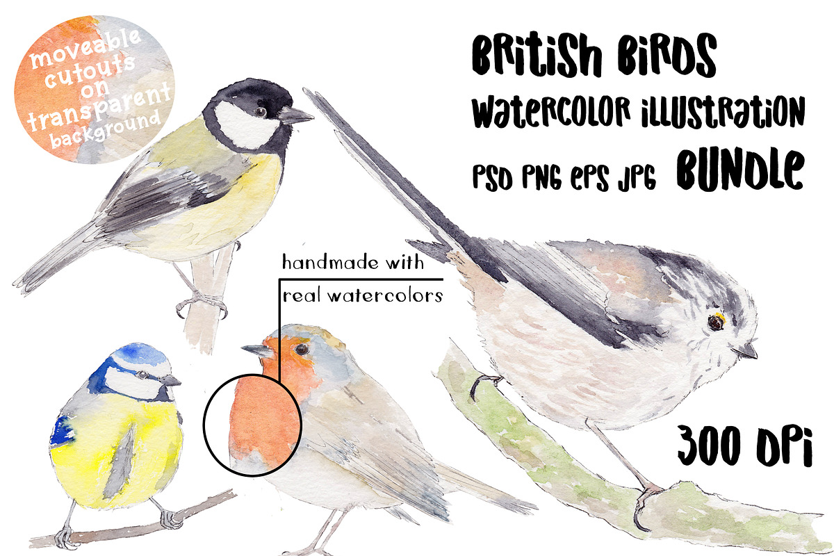 Clipart Watercolor Bird Bundle, an Illustration by Foxery Digital (Photo 1 of 6)