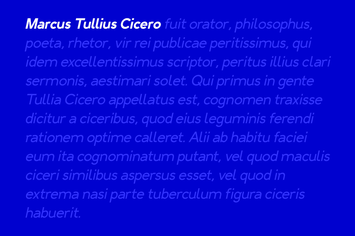 Alternative SH Sans Serif, a Sans Serif Font by Luxima (Photo 4 of 20)
