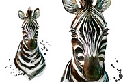 Set zebra portraits .4 styles, an Animal Illustration by art_mouse (Thumbnail 5 of 8)