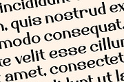 Quirentis - Serif Typeface Font, a Serif Font by Rishsketch (Thumbnail 5 of 15)