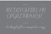 Five Liquor Script Handwritten, a Script Font by infernostudio3 (Thumbnail 10 of 15)
