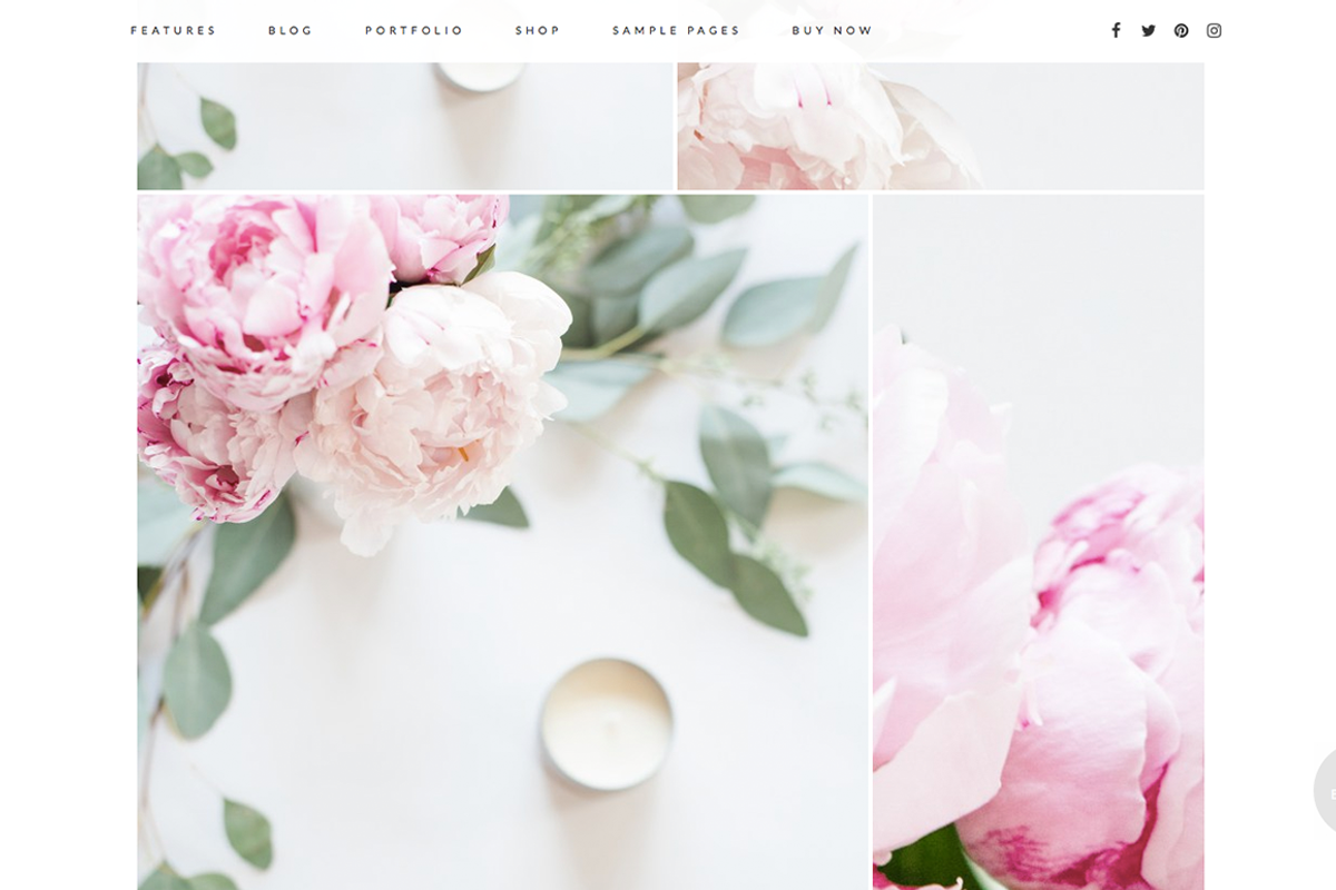 Splendid Wordpress Theme, a WordPress Template by brave + beautiful designs (Photo 5 of 5)